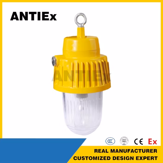 70W 120W 150W Atex allumant la lampe antidéflagrante LED antidéflagrante allume IP 66 pour la station-service de la zone 1 et de la zone 2